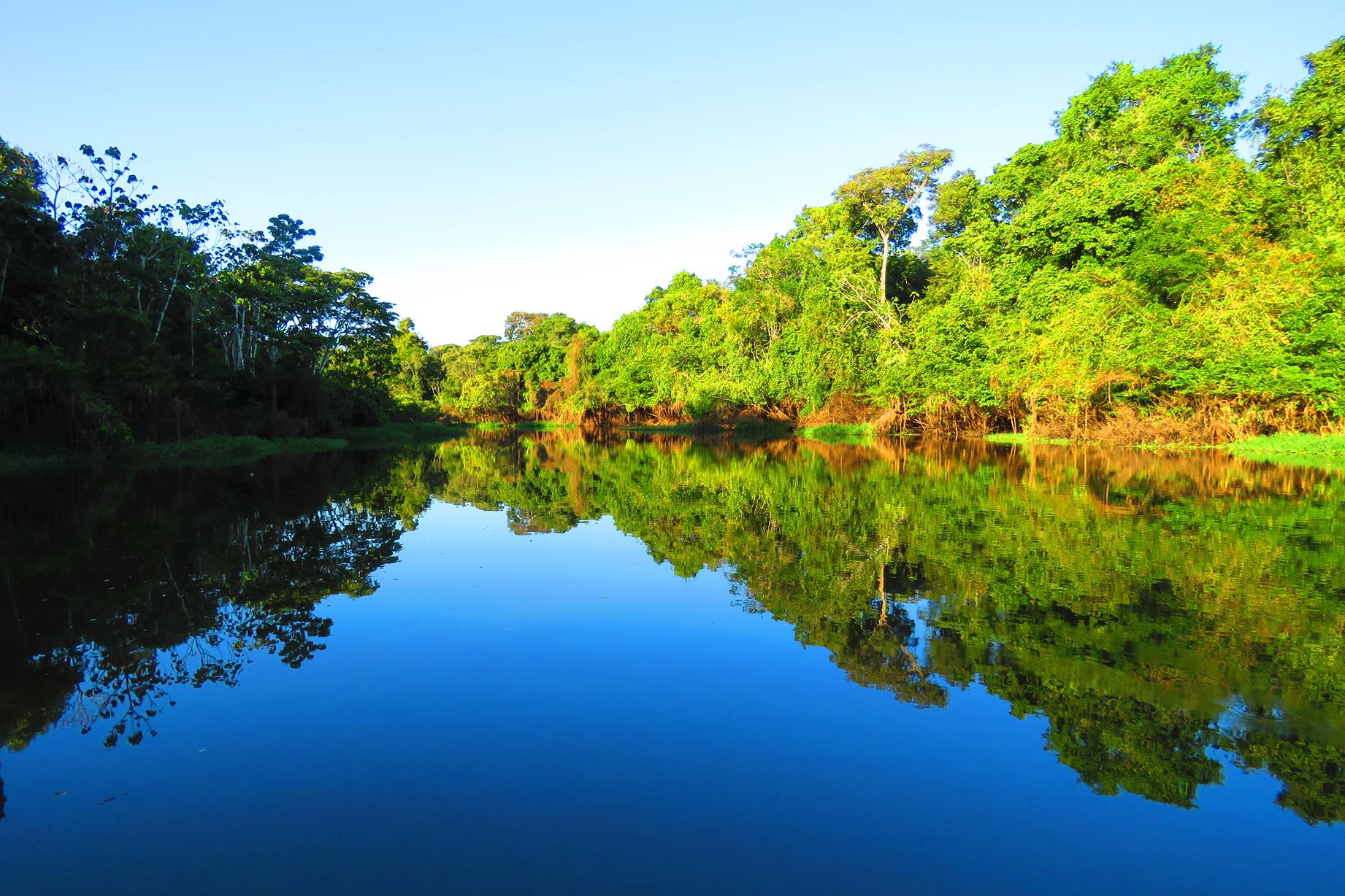 Área de preservação permanente, regularização ambiental, laudo de vegetação