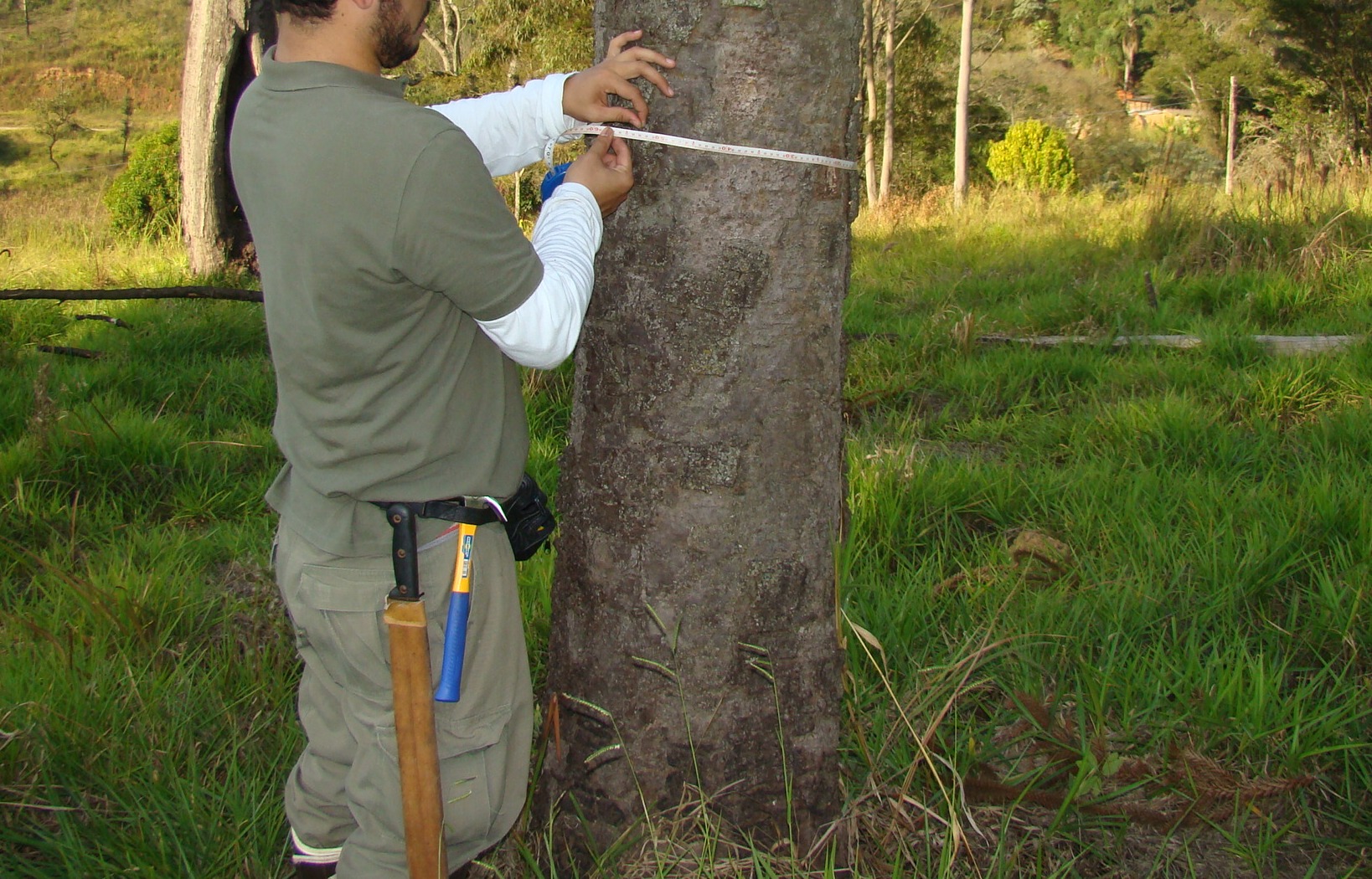 Florístico, levantamento árvores, inventário florestal, Cadastro Arbóreo