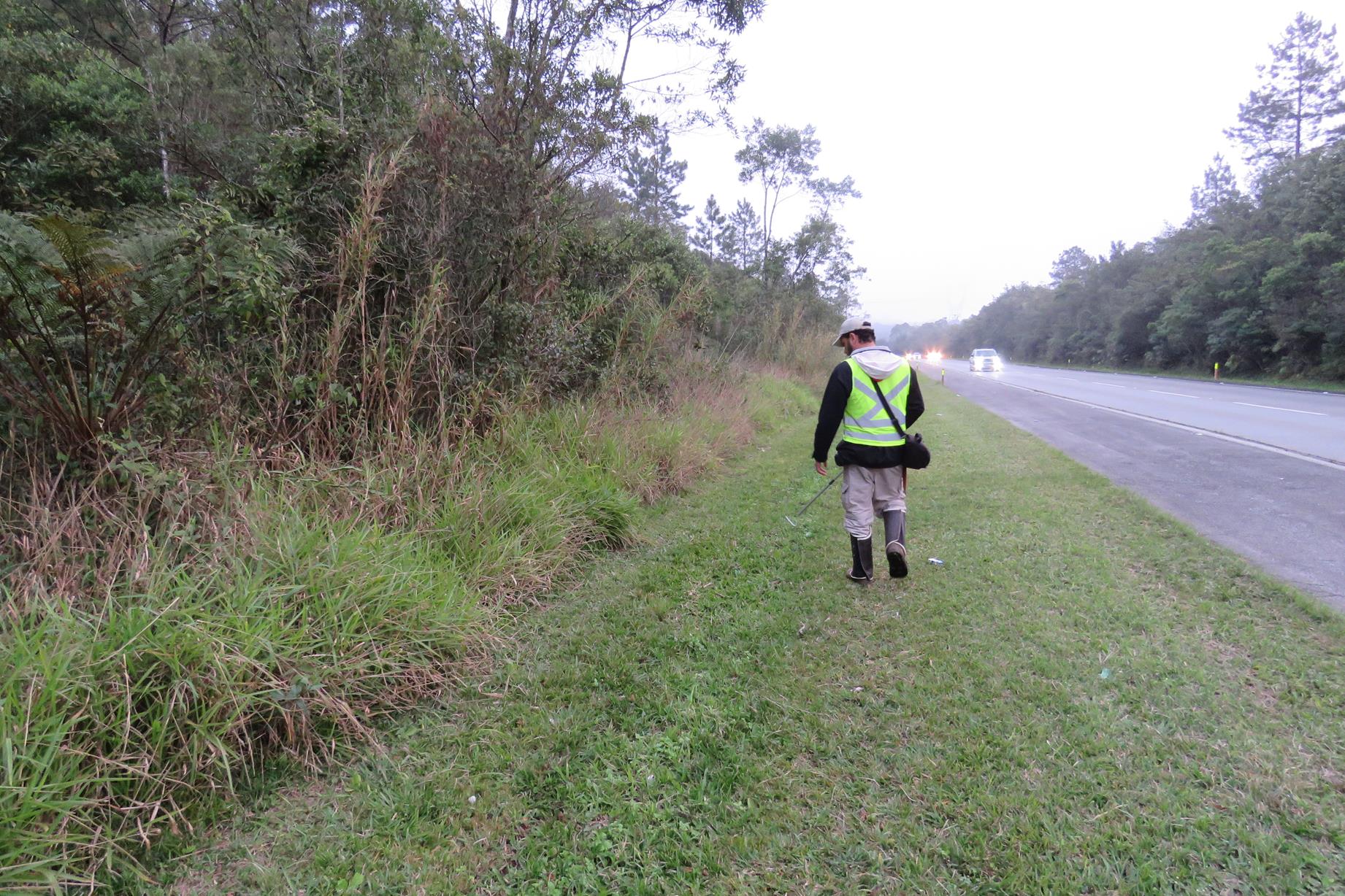 Monitoramento de fauna