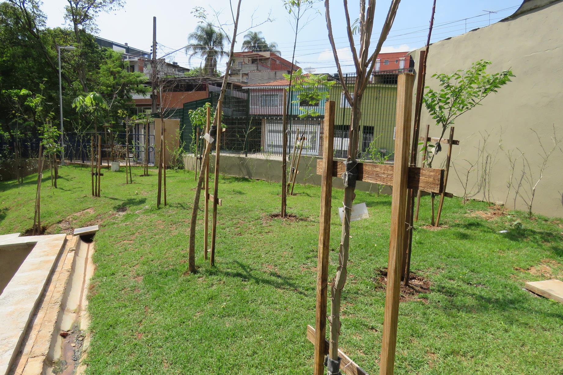 Plantio de árvores nativas, Reflorestamento, Compensação ambiental